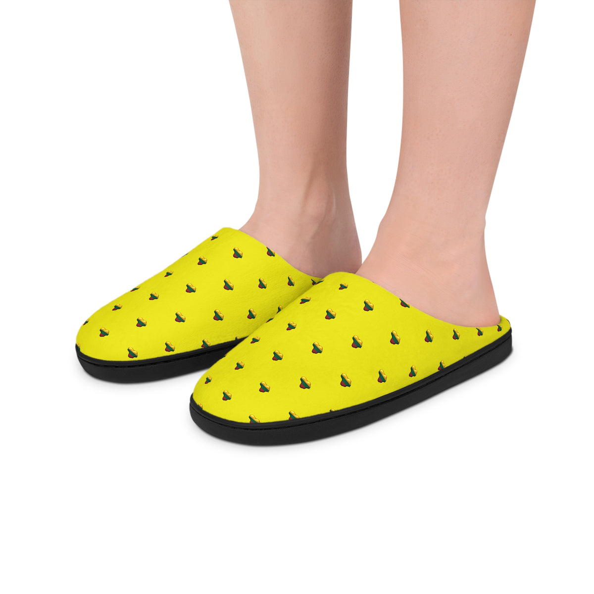 Copy of Women's Indoor Slippers