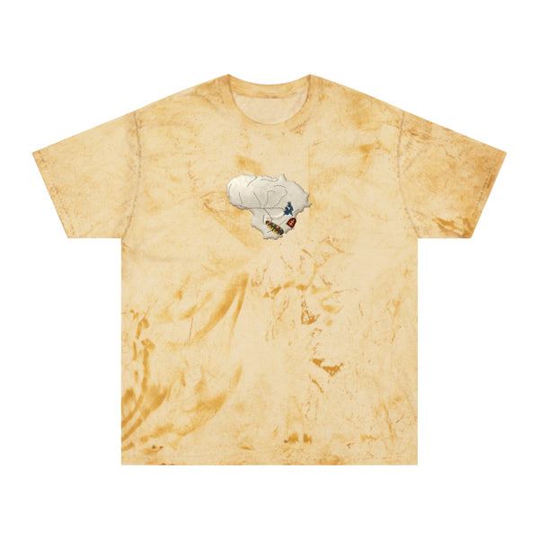 Skull of Lithuania T-Shirt, Style 2 | Garment-Dyed Color Blast Tee